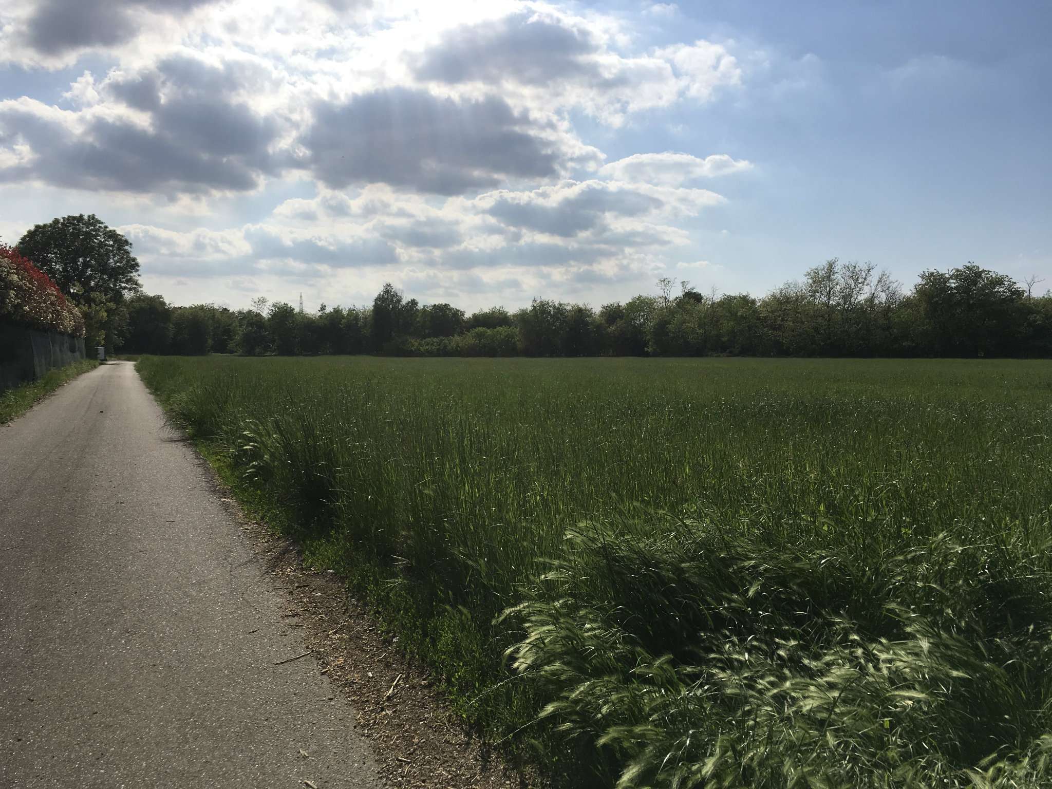 Terreno Agricolo Busto Arsizio