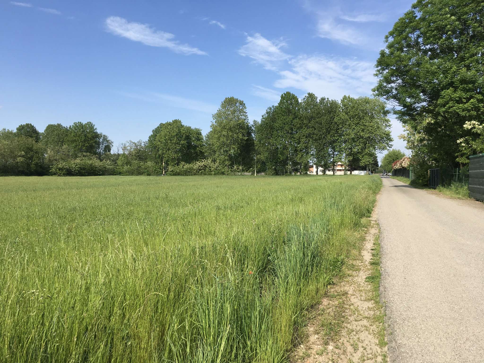 Terreno Agricolo Busto Arsizio