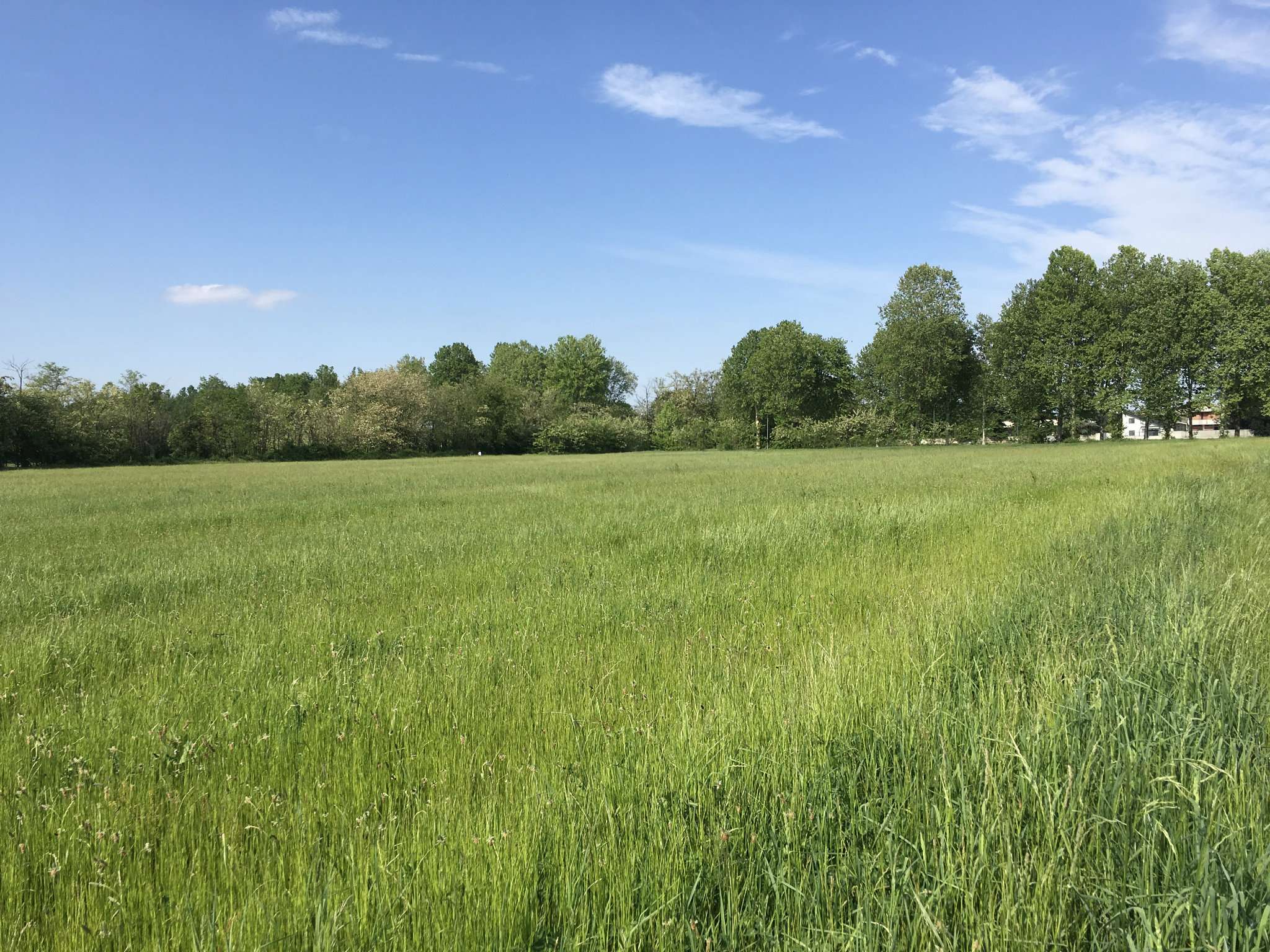 Terreno Agricolo Busto Arsizio