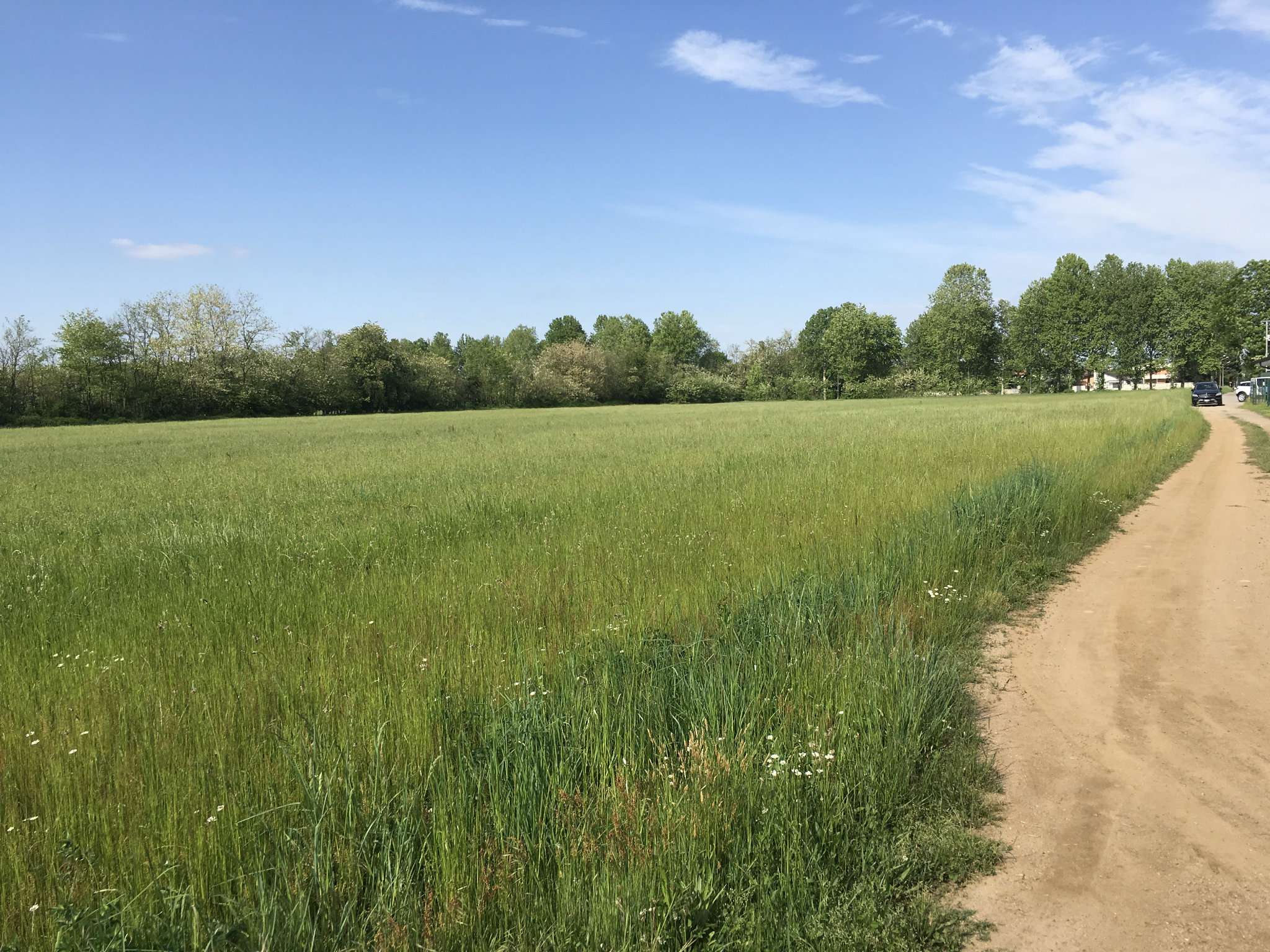 Terreno Agricolo Busto Arsizio