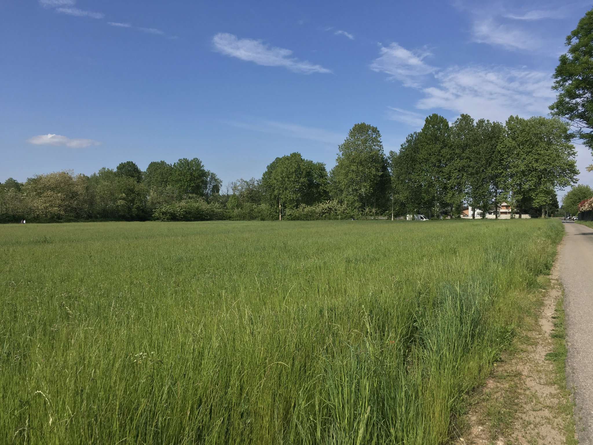 Terreno Agricolo Busto Arsizio