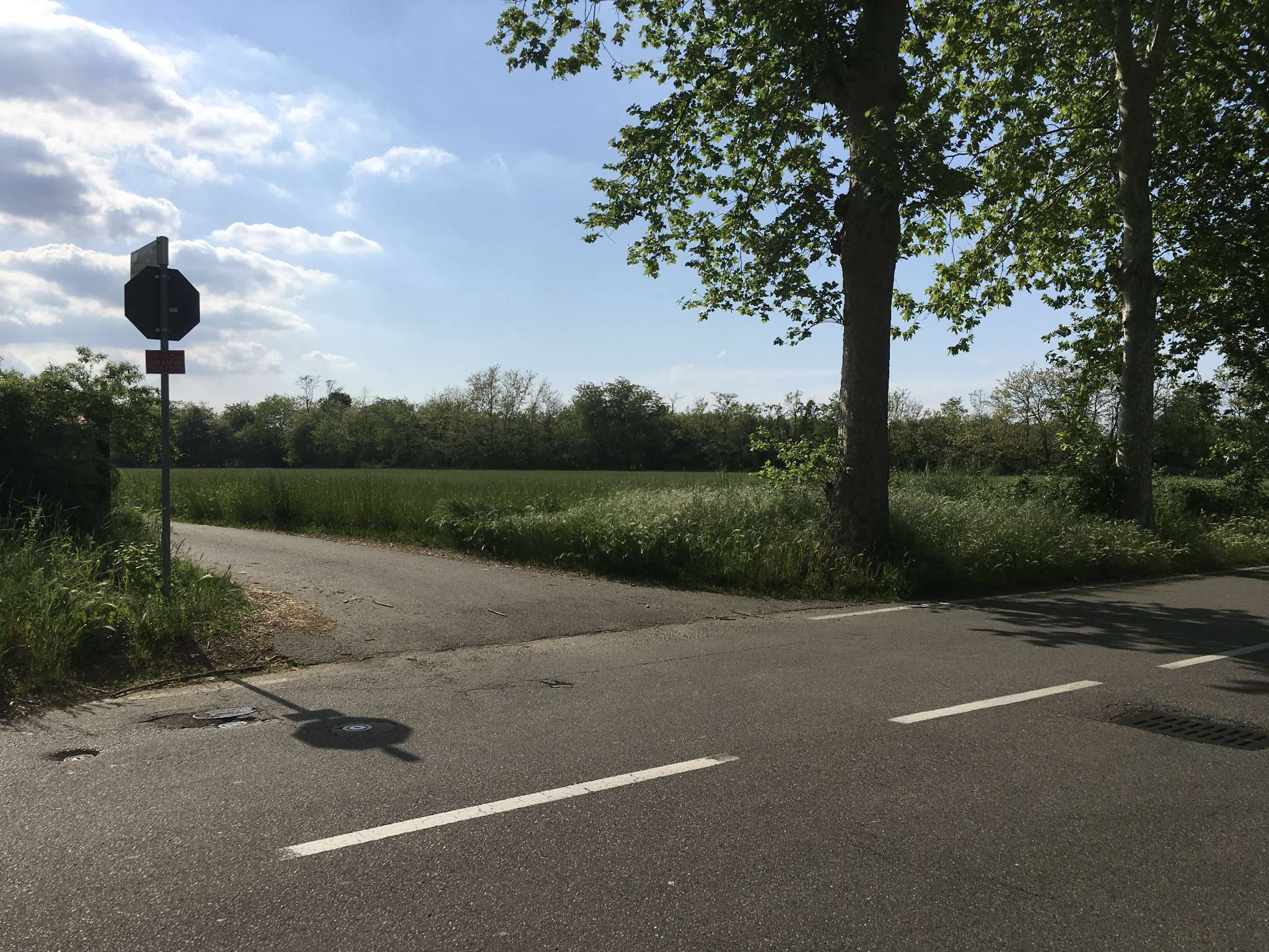 Terreno Agricolo Busto Arsizio